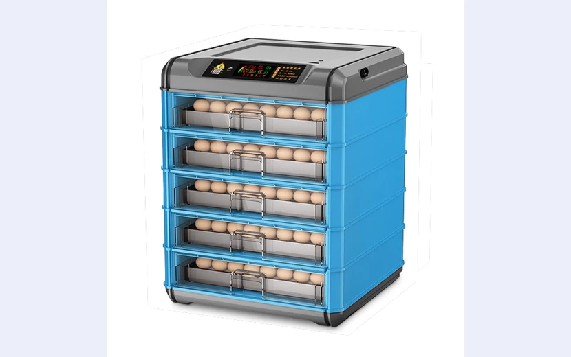 automatic-egg-incubator